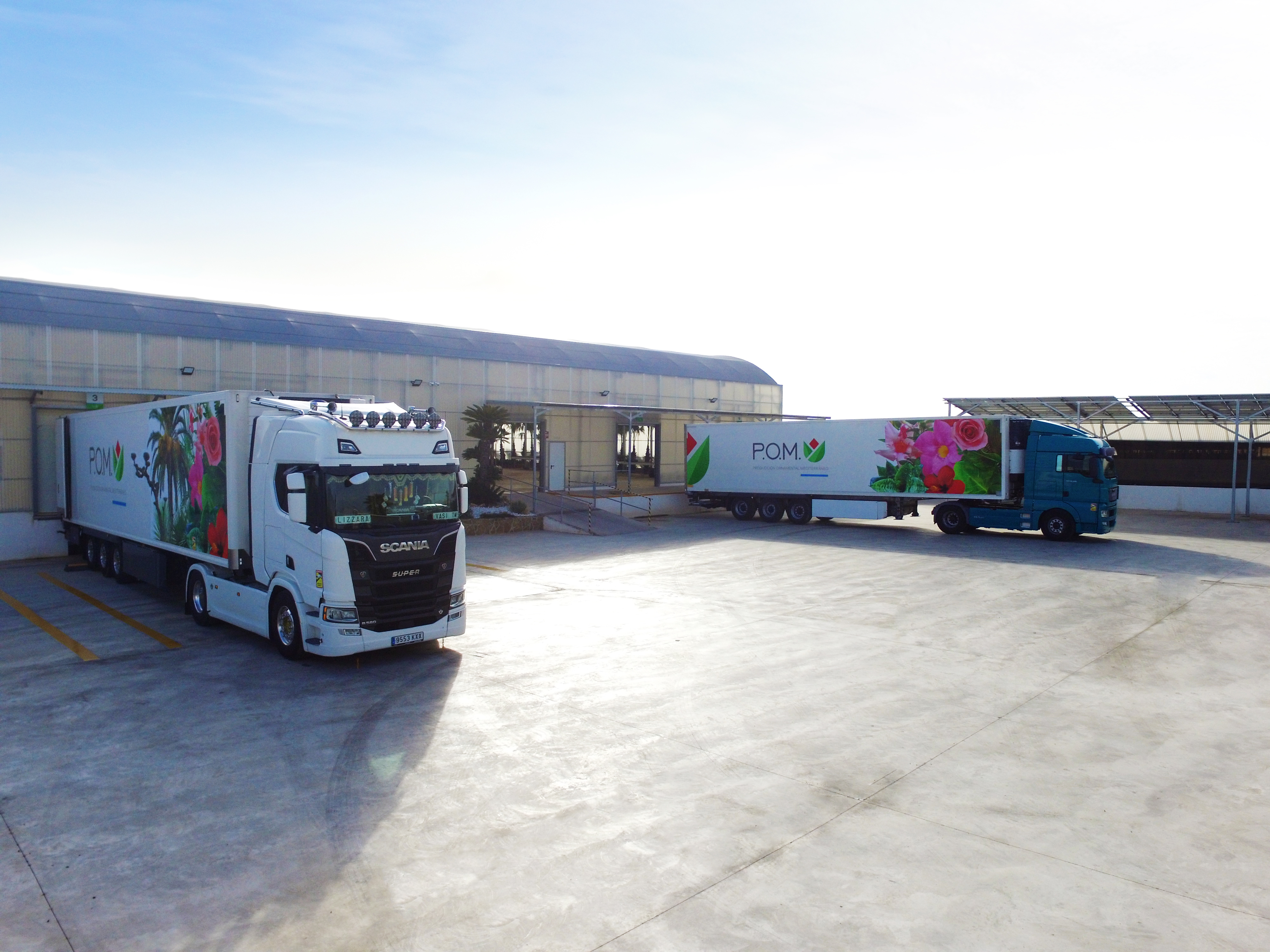 Großer Pflanzenverkauf